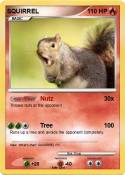 SQUIRREL