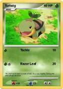 Turtwig