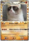 Trumpy Cat