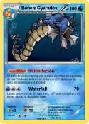Bone's Gyarados