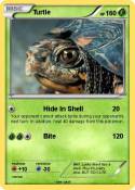 Turtle