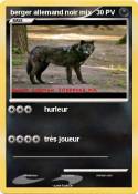berger allemand