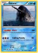 Narwhal