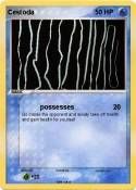 Cestoda