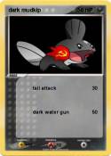 dark mudkip