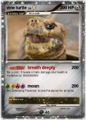 vine turtle