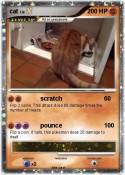 cat