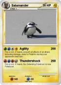 Salamander