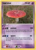 toad stool