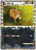 dark cat