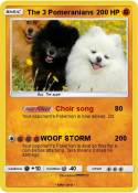 The 3 Pomerania