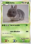 fluffy bunny