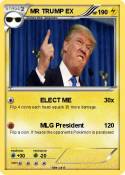 MR TRUMP EX