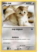 bébé chat