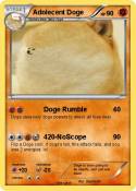 Adolecent Doge