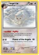 Angel Cat