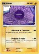 Nucleolus