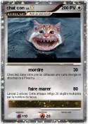 chat con