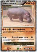 Hippoppotus
