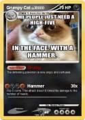 Grumpy Cat