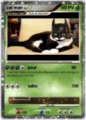 cat man