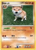 Doge
