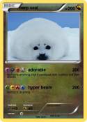 harp seal