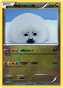 harp seal blob