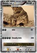 Deadly cat