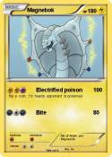 Magnebok
