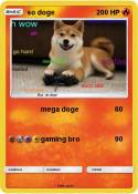so doge