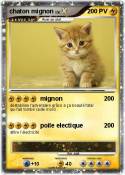 chaton mignon