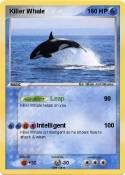 Killer Whale