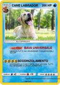 CANE LABRADOR