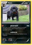 Pinox