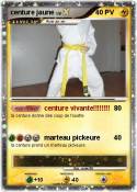 centure jaune
