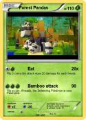 Forest Pandas