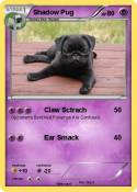 Shadow Pug
