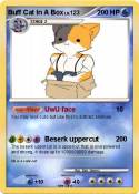 Buff Cat In A