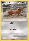cheval RUN