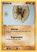 Arcella sp.