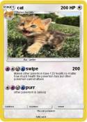 cat