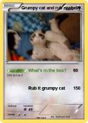 Grumpy cat and
