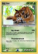 lazy lion