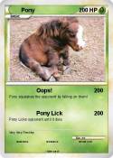 Pony