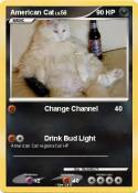American Cat