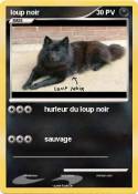 loup noir