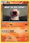 dog