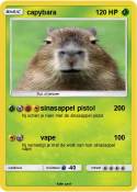 capybara