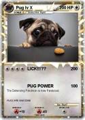 Pug lv X
